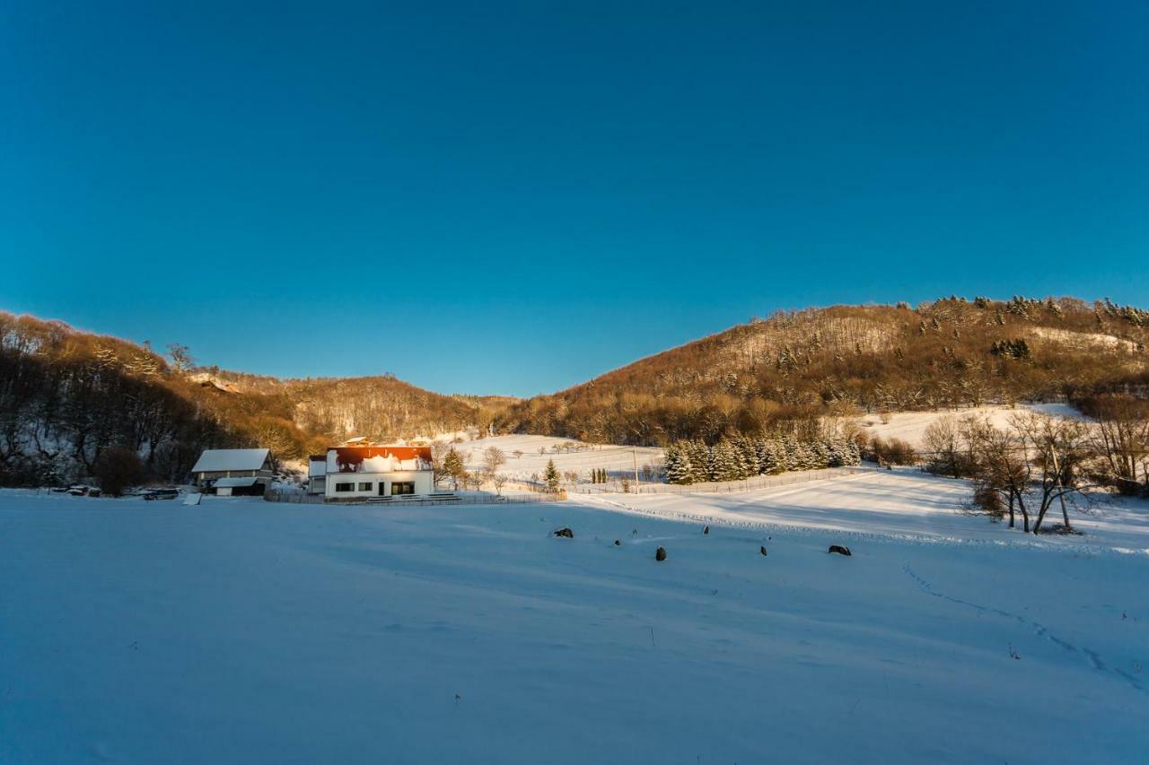 Gasthaus Antosikov Majer Banská Štiavnica Exterior foto